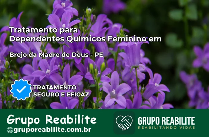 Tratamento para Dependentes Químicos Feminino em Brejo da Madre de Deus – PE