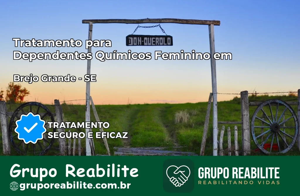 Tratamento para Dependentes Químicos Feminino em Brejo Grande – SE