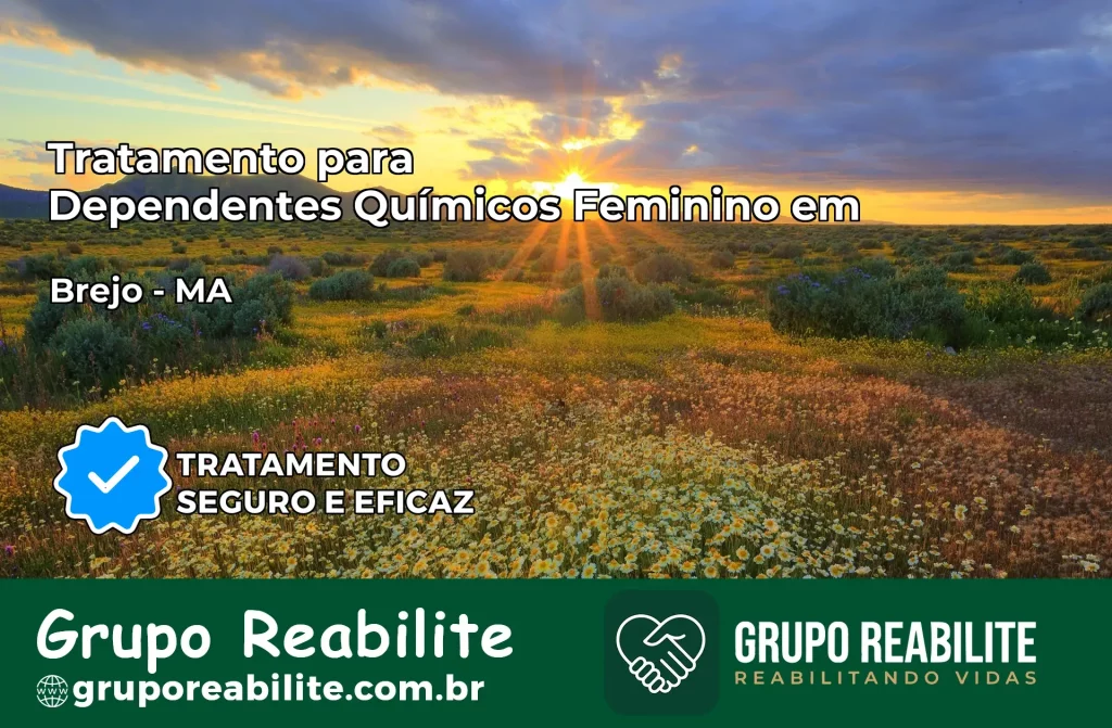 Tratamento para Dependentes Químicos Feminino em Brejo – MA