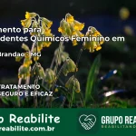 Tratamento para Dependentes Químicos Feminino em Bueno Brandão – MG