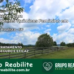 Tratamento para Dependentes Químicos Feminino em Cabrália Paulista – SP