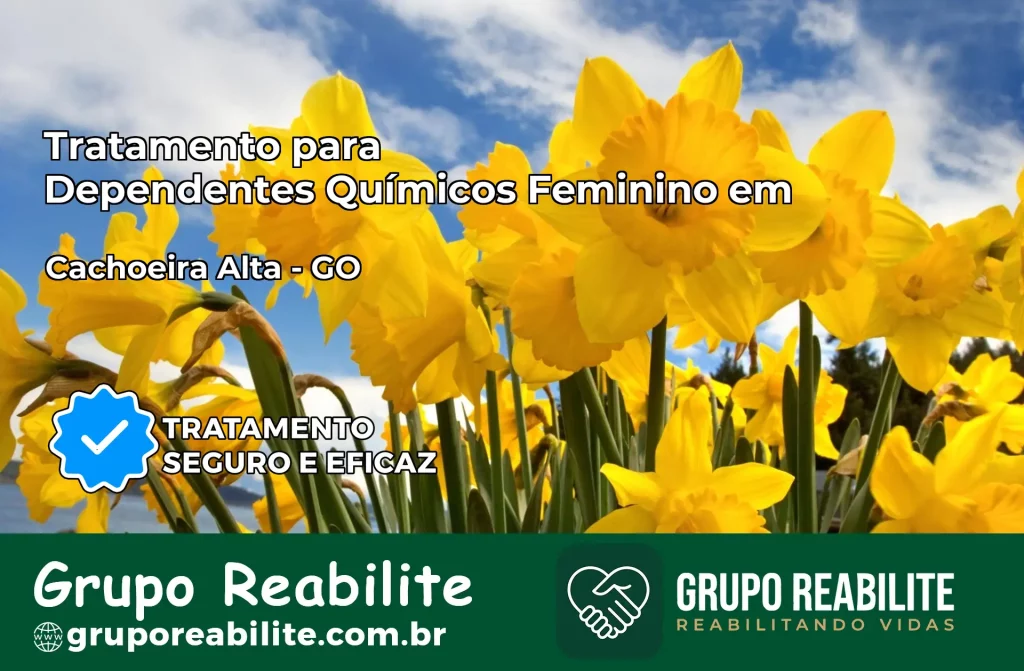 Tratamento para Dependentes Químicos Feminino em Cachoeira Alta – GO