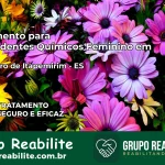 Tratamento para Dependentes Químicos Feminino em Cachoeiro de Itapemirim – ES