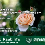 Tratamento para Dependentes Químicos Feminino em Cacimbinhas – AL