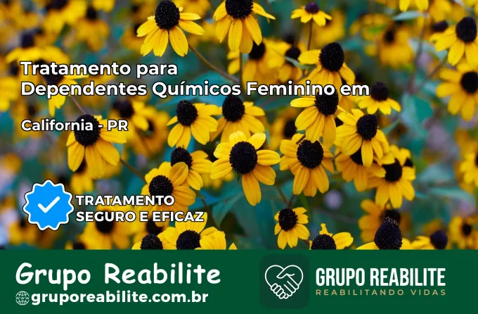 Tratamento para Dependentes Químicos Feminino em Califórnia – PR