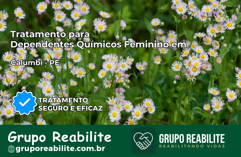 Tratamento para Dependentes Químicos Feminino em Calumbi – PE