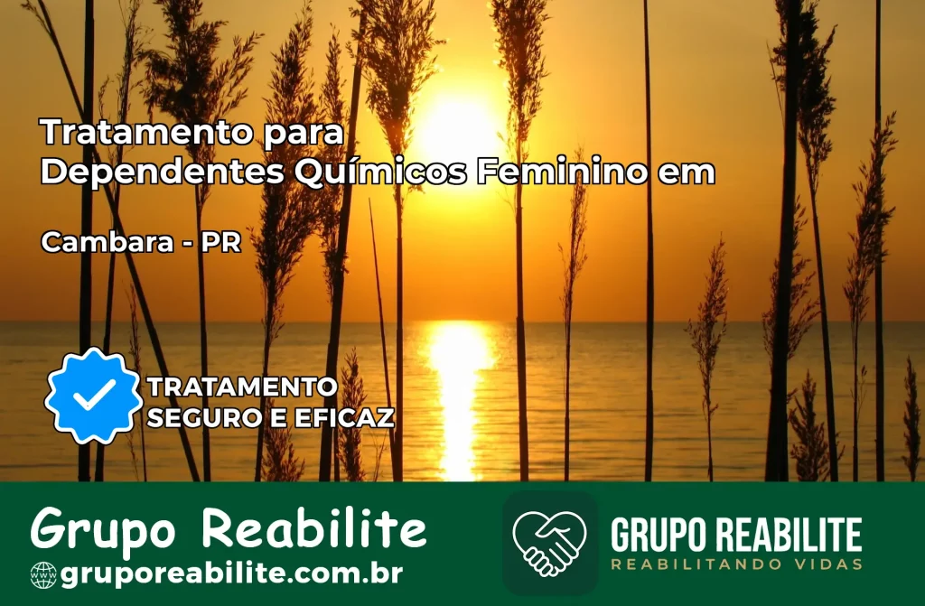 Tratamento para Dependentes Químicos Feminino em Cambará – PR