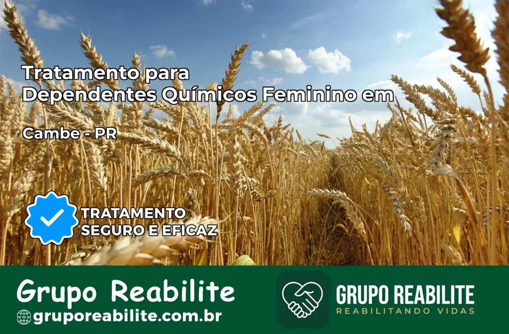 Tratamento para Dependentes Químicos Feminino em Cambé – PR