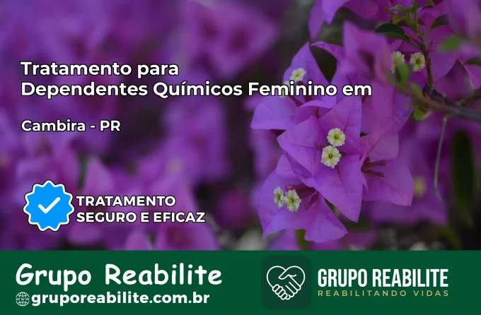 Tratamento para Dependentes Químicos Feminino em Cambira – PR