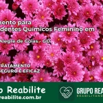 Tratamento para Dependentes Químicos Feminino em Campo Alegre de Goiás – GO