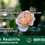 Tratamento para Dependentes Químicos Feminino em Campo Novo do Parecis – MT