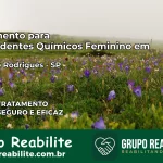 Tratamento para Dependentes Químicos Feminino em Cândido Rodrigues – SP