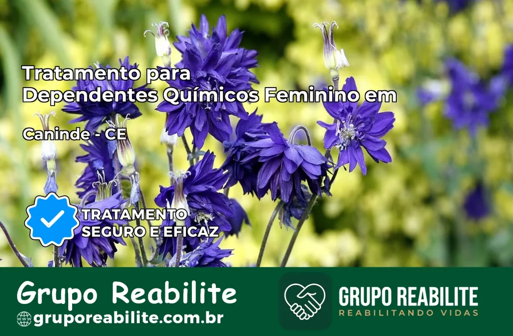 Tratamento para Dependentes Químicos Feminino em Canindé – CE
