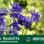 Tratamento para Dependentes Químicos Feminino em Canindé – CE