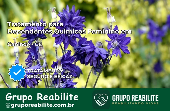 Tratamento para Dependentes Químicos Feminino em Canindé – CE