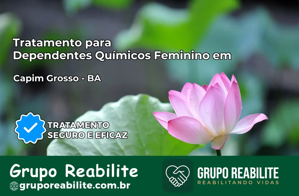 Tratamento para Dependentes Químicos Feminino em Capim Grosso – BA