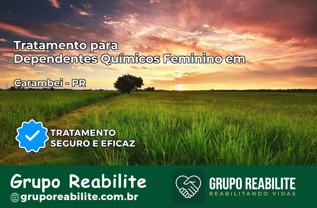 Tratamento para Dependentes Químicos Feminino em Carambeí – PR