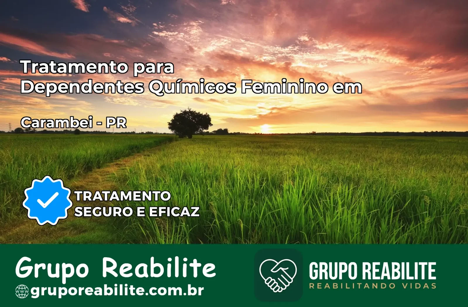 Tratamento para Dependentes Químicos Feminino em Carambeí – PR