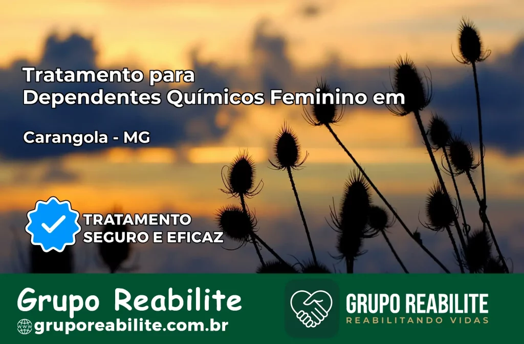 Tratamento para Dependentes Químicos Feminino em Carangola – MG