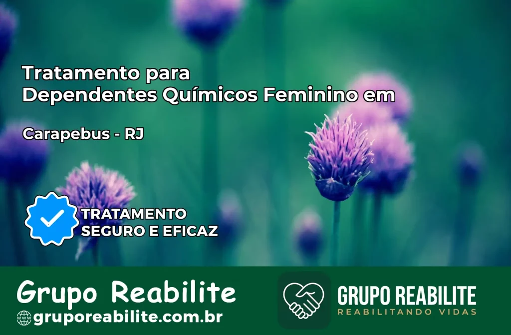 Tratamento para Dependentes Químicos Feminino em Carapebus – RJ