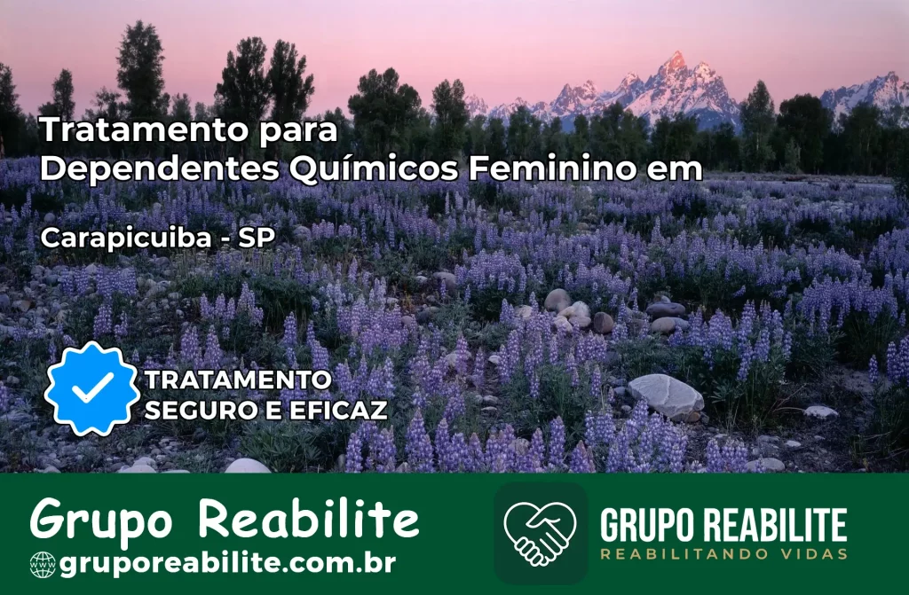 Tratamento para Dependentes Químicos Feminino em Carapicuíba – SP