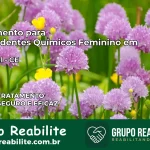 Tratamento para Dependentes Químicos Feminino em Cascavel – CE