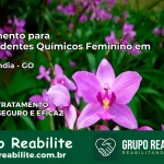 Tratamento para Dependentes Químicos Feminino em Castelândia – GO