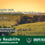 Tratamento para Dependentes Químicos Feminino em Caturama – BA