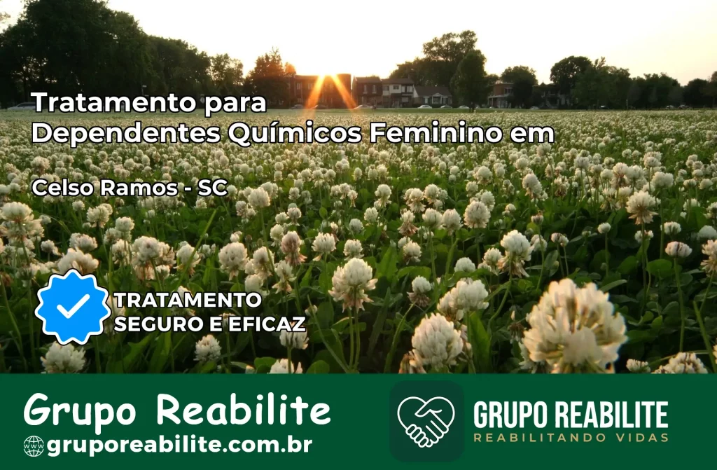 Tratamento para Dependentes Químicos Feminino em Celso Ramos – SC