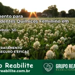 Tratamento para Dependentes Químicos Feminino em Celso Ramos – SC