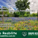 Tratamento para Dependentes Químicos Feminino em Chã Grande – PE