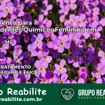 Tratamento para Dependentes Químicos Feminino em Chácara – MG