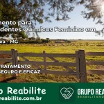 Tratamento para Dependentes Químicos Feminino em Cipotânea – MG