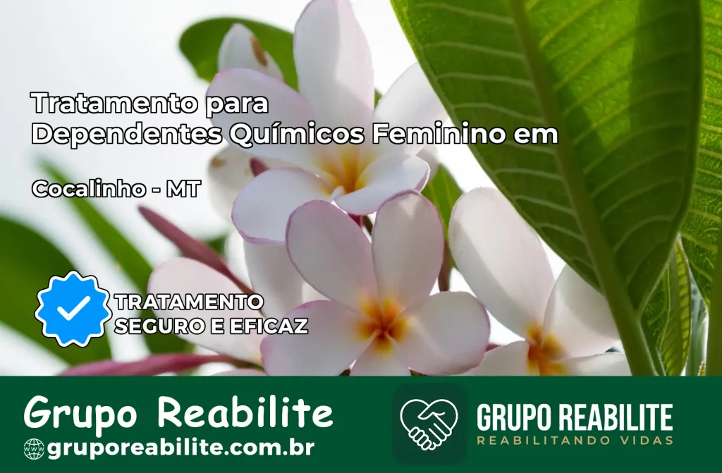 Tratamento para Dependentes Químicos Feminino em Cocalinho – MT