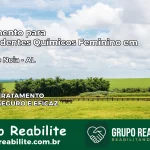 Tratamento para Dependentes Químicos Feminino em Coité do Nóia – AL