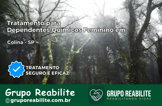 Tratamento para Dependentes Químicos Feminino em Colina – SP