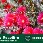 Tratamento para Dependentes Químicos Feminino em Conchal – SP