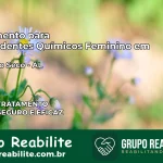 Tratamento para Dependentes Químicos Feminino em Coqueiro Seco – AL