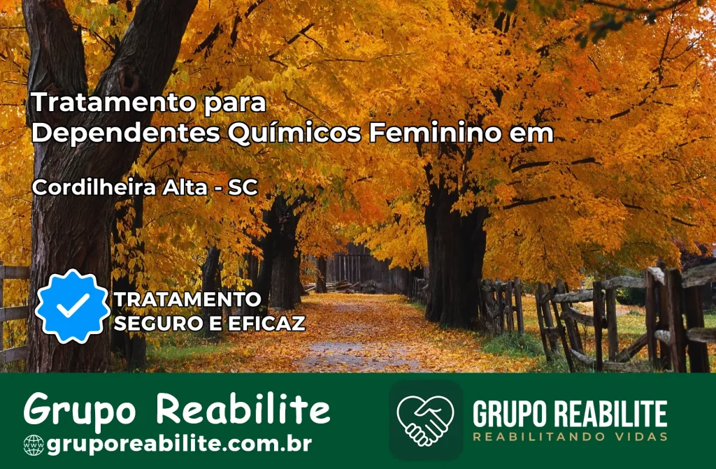 Tratamento para Dependentes Químicos Feminino em Cordilheira Alta – SC