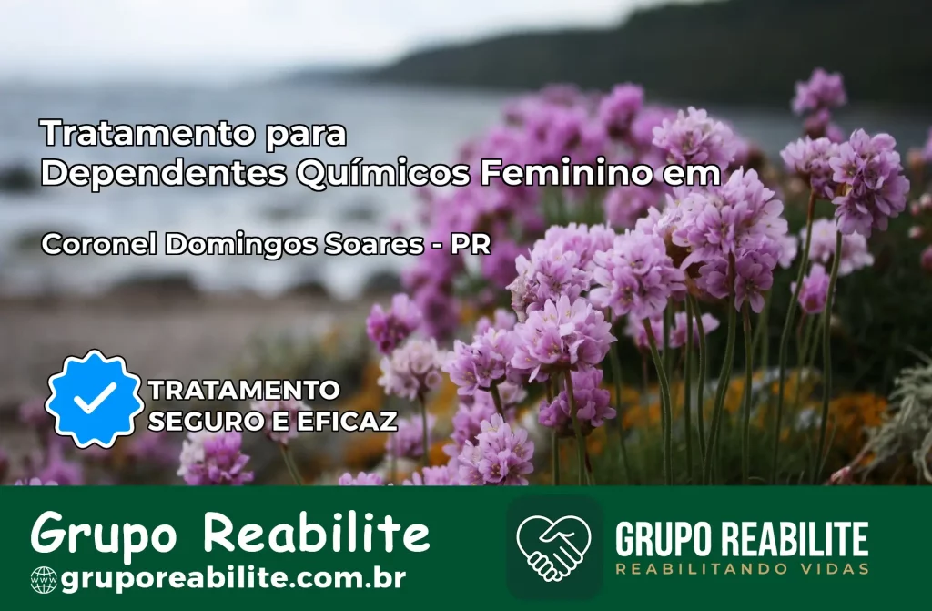 Tratamento para Dependentes Químicos Feminino em Coronel Domingos Soares – PR