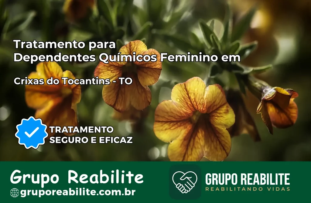 Tratamento para Dependentes Químicos Feminino em Crixás do Tocantins – TO