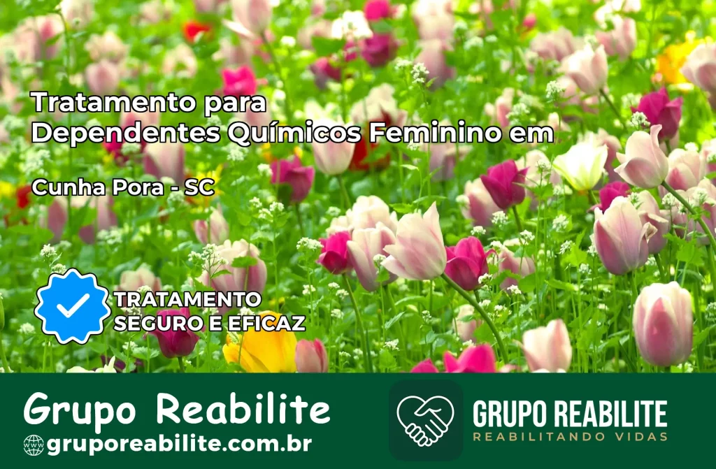 Tratamento para Dependentes Químicos Feminino em Cunha Porã – SC