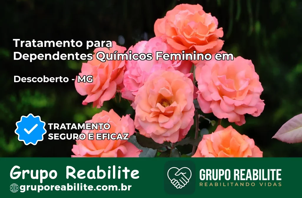 Tratamento para Dependentes Químicos Feminino em Descoberto – MG