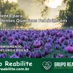 Tratamento para Dependentes Químicos Feminino em Divino das Laranjeiras – MG