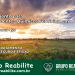 Tratamento para Dependentes Químicos Feminino em Dona Emma – SC
