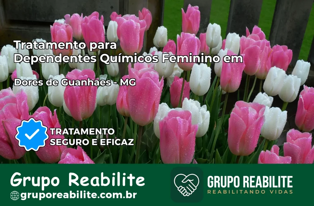 Tratamento para Dependentes Químicos Feminino em Dores de Guanhães – MG