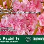 Tratamento para Dependentes Químicos Feminino em Edealina – GO