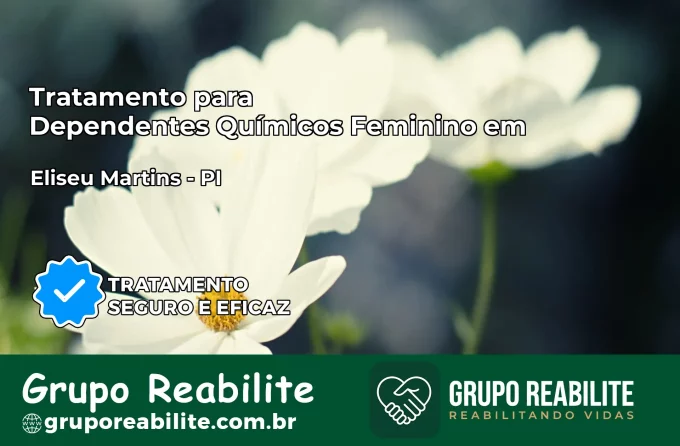 Tratamento para Dependentes Químicos Feminino em Eliseu Martins – PI