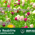 Tratamento para Dependentes Químicos Feminino em Elói Mendes – MG
