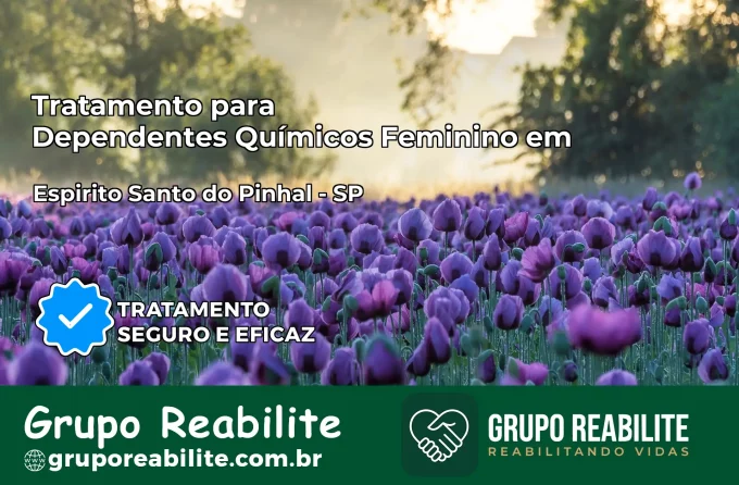 Tratamento para Dependentes Químicos Feminino em Espírito Santo do Pinhal – SP